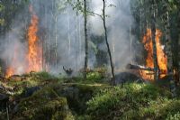 Interdiction de faire des feux à ciel ouvert en forêt en Estrie